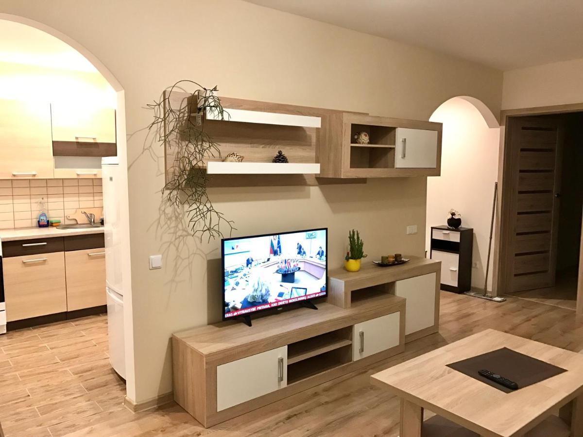 Апартаменты Central and cozy 2 rooms apartment Клайпеда-4