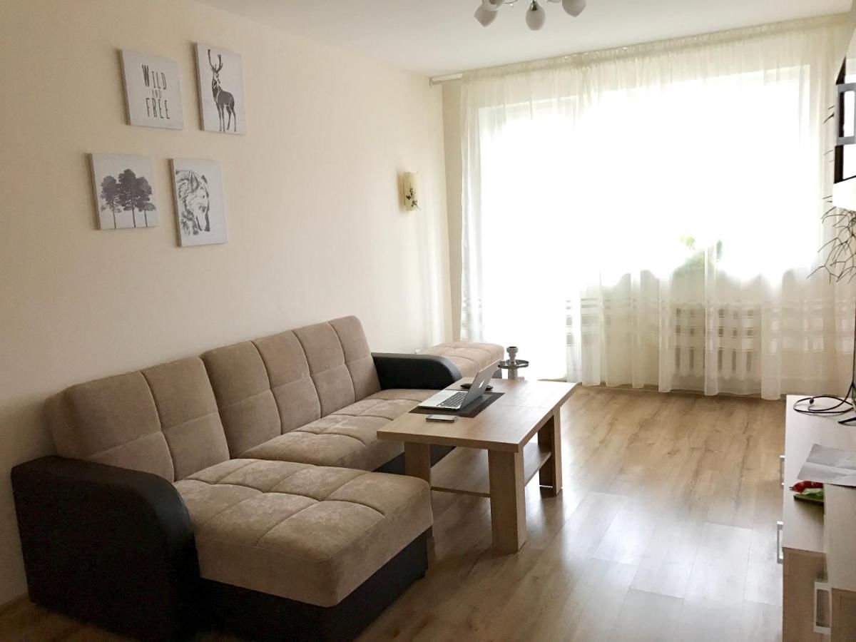 Апартаменты Central and cozy 2 rooms apartment Клайпеда